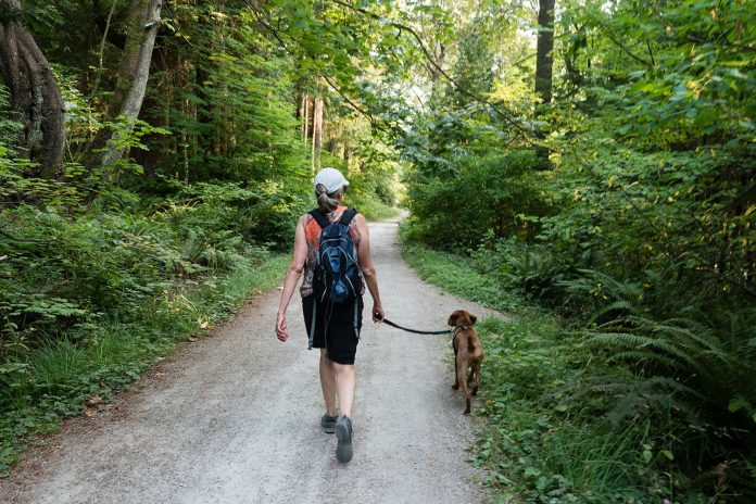 Hond uitlaten in Almere