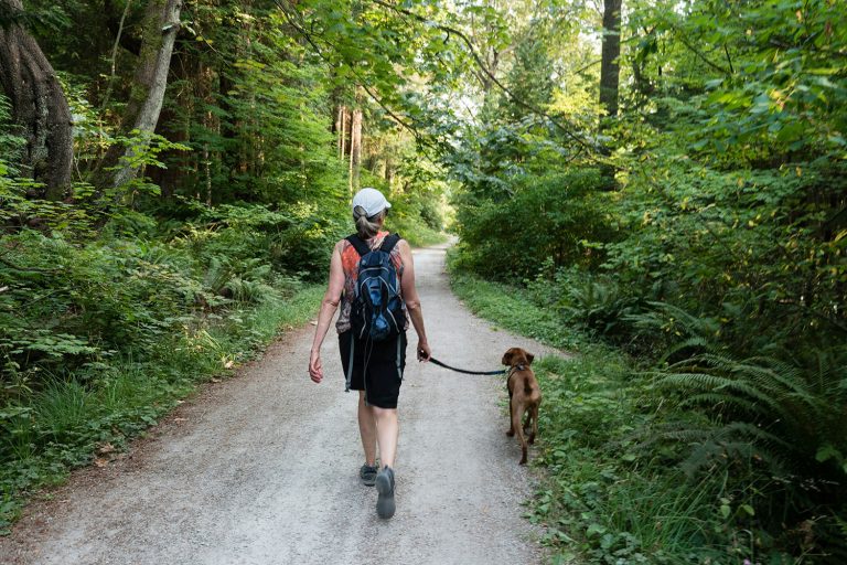 Hond uitlaten in Almere